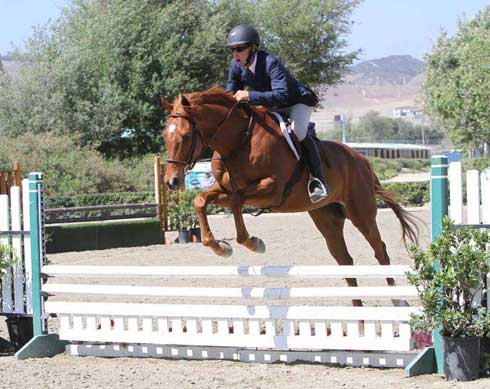 Duncan McIntosh jumping a hunter obstacle on his flaming red horse Rockland.