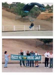 Parachuter lands in horse riding arena.