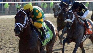 Palace Malice pounds down the homestretch flashing green and yellow silks.