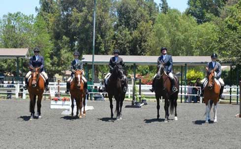 Riders line up for the judge at the 4th Annual Paddock Schooling Show.