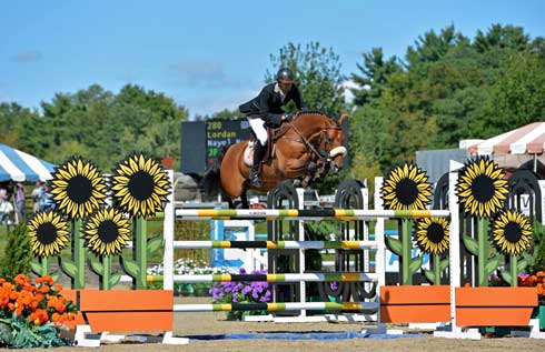 Nayel Nassar jump sunflowers at HITS-on-the-Hudson.