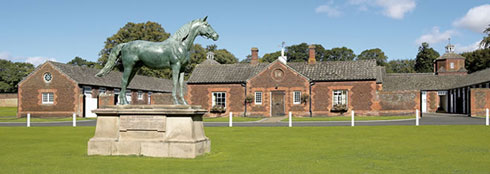 Bronze statue of the race horse Persimmon at the Sandringham Stud.