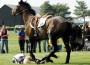 Rider on ground after falling off horse on eventing course.