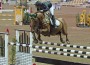 Ashlee Bond and Cadett 7 win the 2010 Los Angeles National