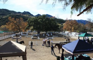 The main hunter ring at Pegasus Equestrian center is Oak-lined and framed by mountains.