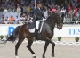 Steffen Peters and Ravel trot it out in Aachen, Germany.