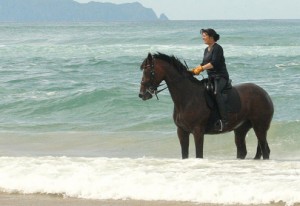 Dressage trainer Maggie Broekman astride a bay horse who stands in the azure blue New Zealand surf.