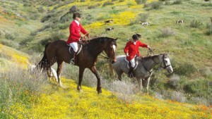 Wearing the traditional red coats, California's Santa Fe Hunt club ride the flower-strewn rangeland.