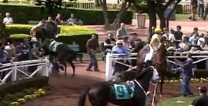 A loose horse caught on video galloping out of the in-gate in the walking ring at Santa Anita Park.