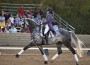 This rider cut a very pretty picture in her lavendar shadbelly coat on a dapple gray horse.