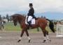 Bruce Davidson and Ballynoe Castle RM compete in the dressage phase of a three-day event.