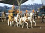 A regal carriage of gold pulled by four high-stepping Paint horses.