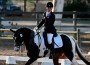 Maxance McManamy rides the dressage test on her flashy black-and-white pinto Trakehner, Project Runway.