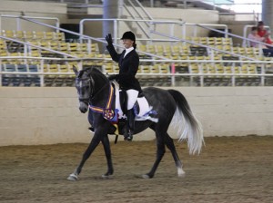 Susann Regalmuto waves from her beautiful gray horse, proudly displaying their championship ribbons.