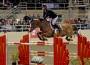 Rich Fellers and his fiery chestnut horse Flexible fly over an orange jump.