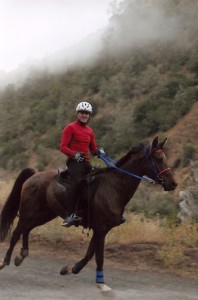 Jeremy Reynolds cuts a sporty figure in his bright red jersey, contrasting his dark bay horse.