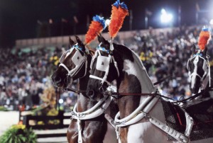 Painted Saddlebreds from Scripps Mirarmar parade at the World Equestrian Games.