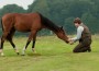 Actor Jeremy Irvine feeds his horse Joey in a field.