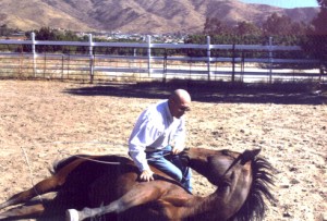 Trainer Bobby Lovgren kneels over his prone Thoroughbred, Finder, one of the horses who doubled for Joey.