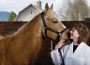 A veterinarian poses with a horse.