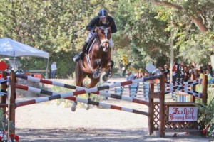 Georges Bittar jumps a large red, white and blue crossrail on a chestnut horse.