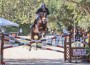 Georges Bittar jumps a large red, white and blue crossrail on a chestnut horse.