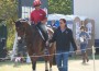 Robert Kellerhouse walks with rider Buck Davidson (astride horse).