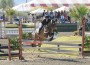 Kate Considine and Caretano on course in a hunter class.