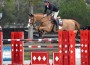 Andre Thieme going over a bright red jump on his horse Cesar.