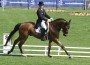 Germany's Michael Jung rides his horse in a dressage test on lush green grass.