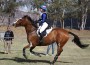 20-year-old rider Nina Ligon rides Jazz King at a full gallop over the cross country course.