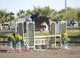 Nick Haness and Cristiano sail over a jump on course.