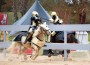 Jousters lance each other from opposite sides of a fence.