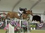 Karl Cook and the chestnut stallion Uno de Laubry soar over an oxer.