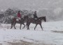 Riders on horseback in the Southern California snow