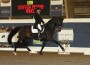 Steffen Peters and Ravel do an extented trot.