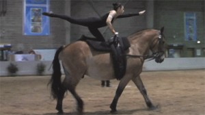 Woman in a black leotard kneeling on the back of a draft horse.