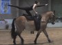 Woman in a black leotard kneeling on the back of a horse.