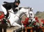 Michelle Parker and her gray mare soar over a jump.