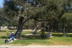 Wide shot of the beautiful cross country field at the Flintridge Riding Club, with rider going over a log jump.