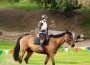 Gayleen Sharon riders her off-track-Thoroughbred, a beautifully-marked chestnut with a black mane, tail and legs.