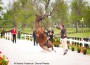 Phillip Dutton poised on one tiptoe gingerly holds his horse's halter as it slides to the ground on its haunches.