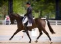 U.S. rider Boyd Martin riding dressage on Remington XXV.