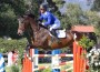 Lane Clarke cuts a striking figure in his royal blue jacket aboard the bay jumper McLord's First John.