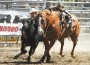 Luke Branquinho hoers in mid-air between his horse and a steer.