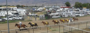 Pack of mules race headlong down a dirt track.