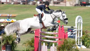 Josephina Nor soars over a bright pink jump on her great grey Cello Z.