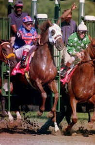 Chestnut Thoroughbred Thunder Gulch explodes out of the starting gate at the Travers Cup.