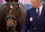 Steffen Peters leads a bridled but saddleless Ravel.