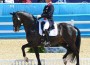 Carl Hester and Uthopia piaffe.